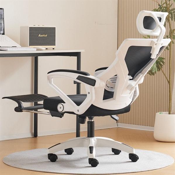 ghế công thái học CTH